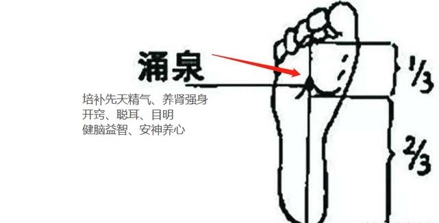 平直堂|初伏|今天你艾灸了吗