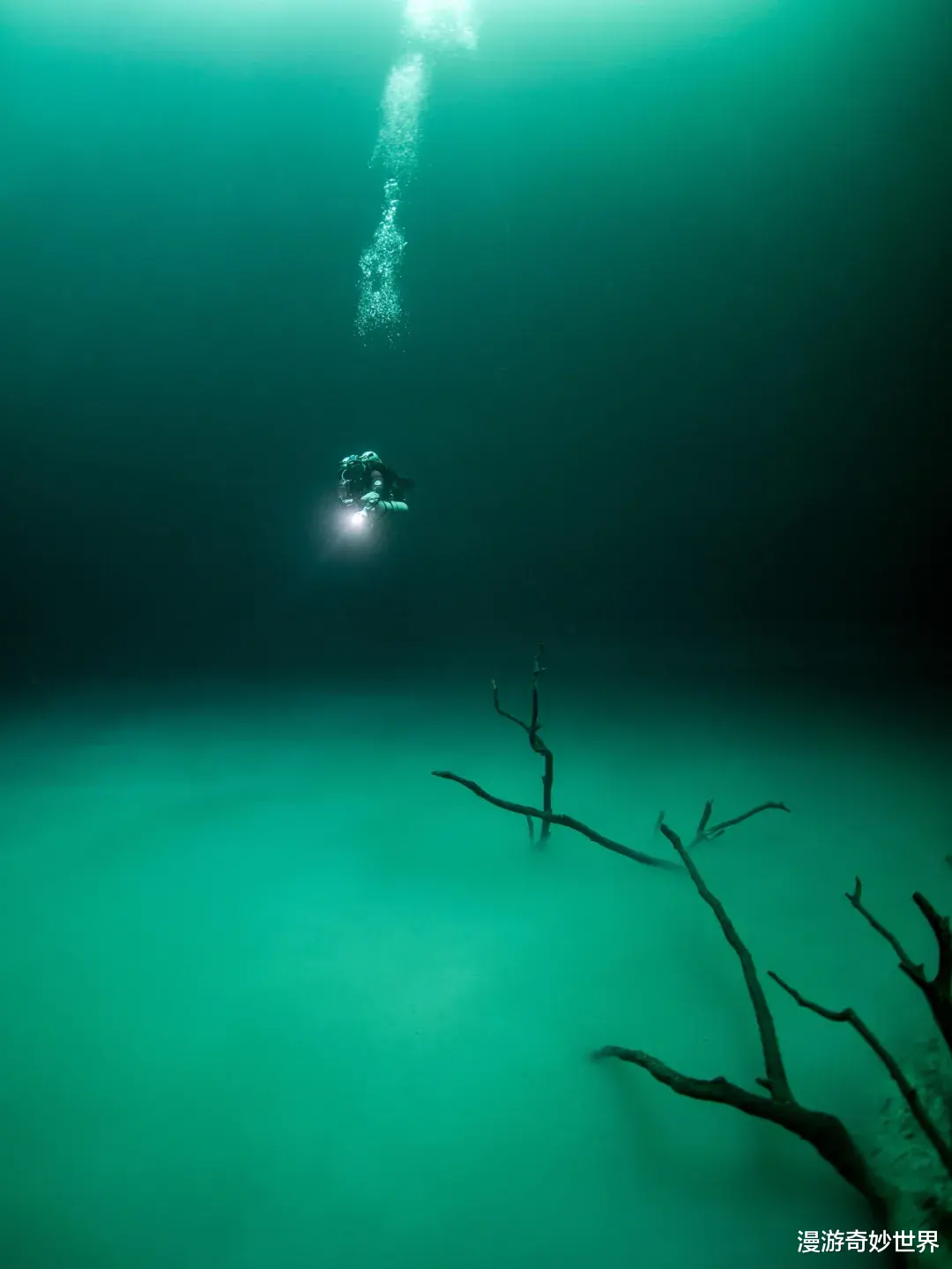 看完这30张图，深海恐惧症彻底发作了…
