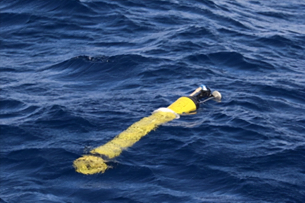 微生物 科学家首次实现定量测量全球海洋碳循环