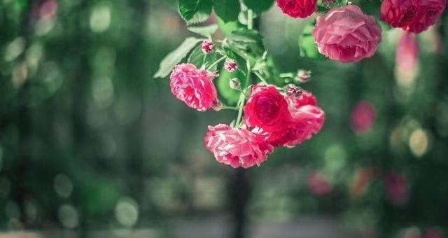 穿衣搭配|别高估你和任何人的关系