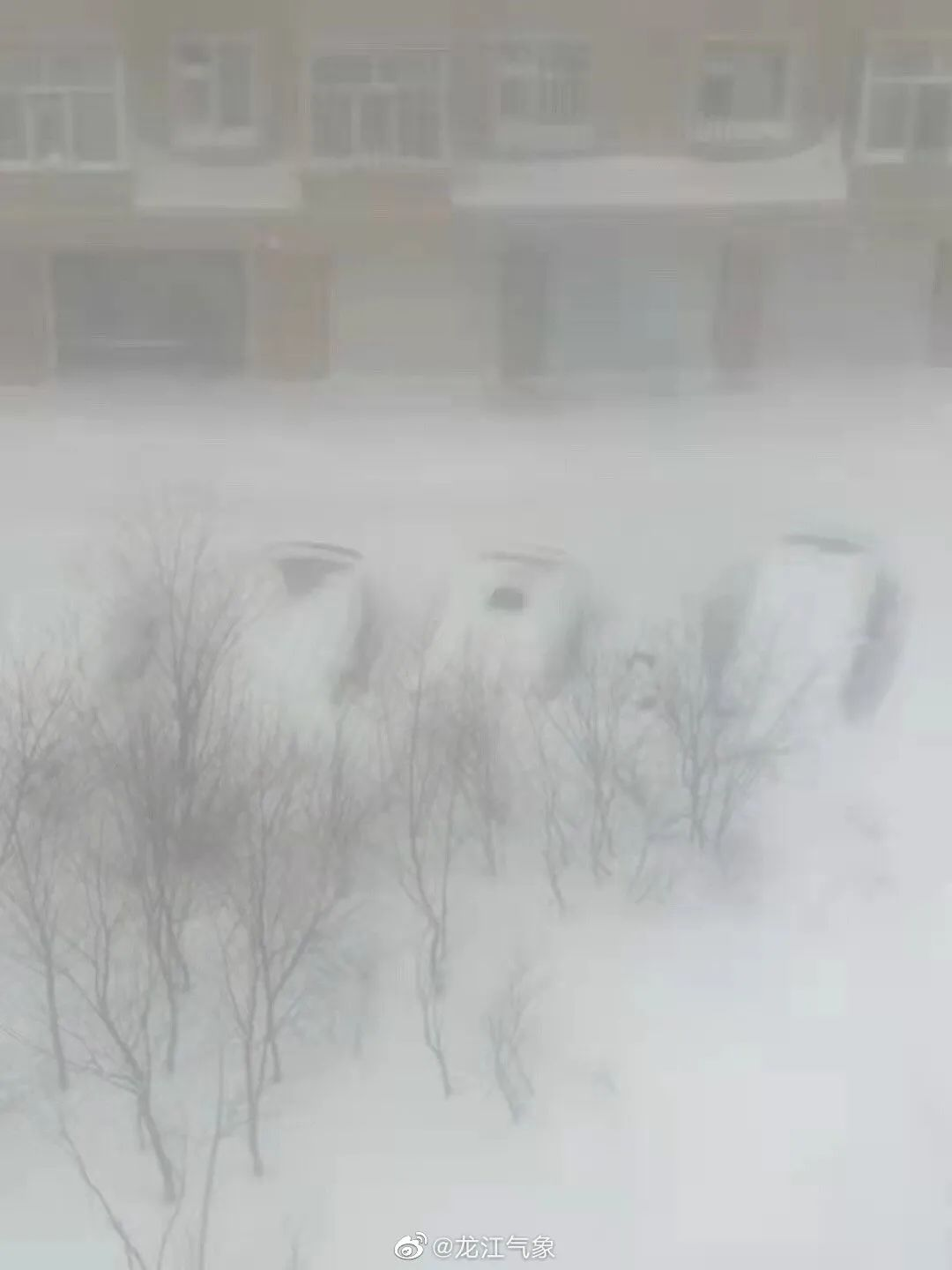 太容易高糊和过曝，在冬天拍出漂亮的雪景，绝对是技术活儿