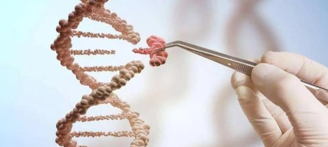 科学家|英国造出155个“人兽杂交胚胎”，究竟是创新还是人类毁灭前奏？