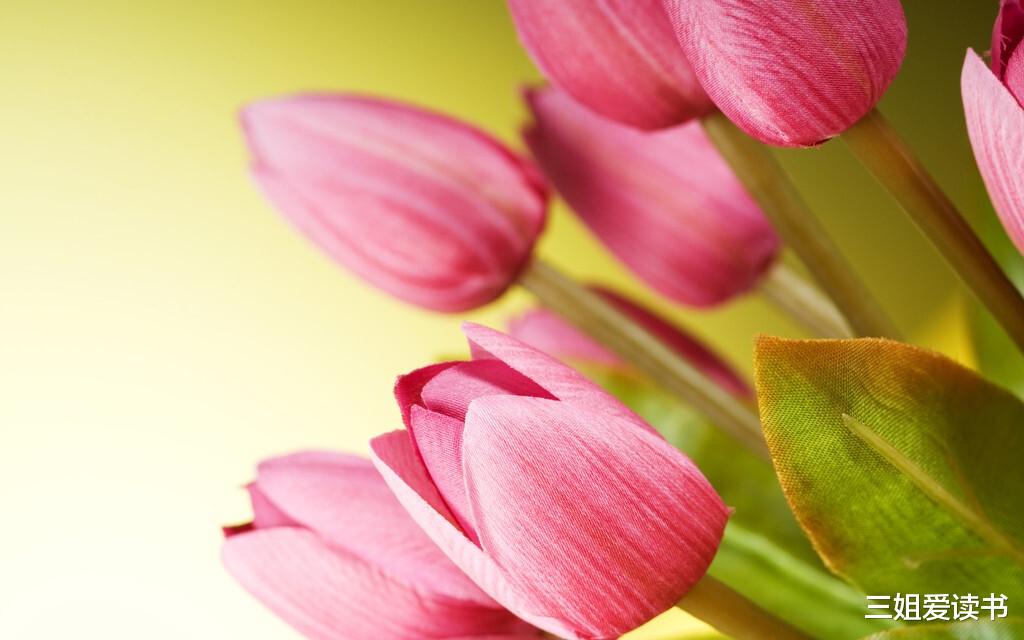 三姐爱读书 身体是根本，当好生爱护