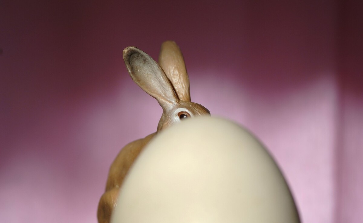 论语|论语100:你代表的人言行拙劣,配不上你的言行怎么办?