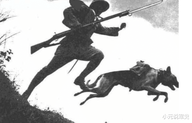 日本侵華戰爭，日軍訓練瞭一種動物，咬死無數國人，名字很耳熟-圖2