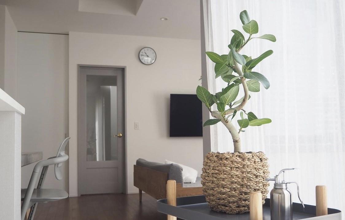 日本断舍离之家,太太坚持扔扔扔,全屋四处井井有条,看着就舒服