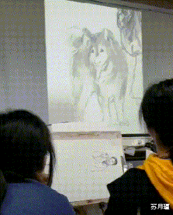 苏月瑾|“漂亮的老板娘亲自下面给客人吃,生意不好都天理难容!”