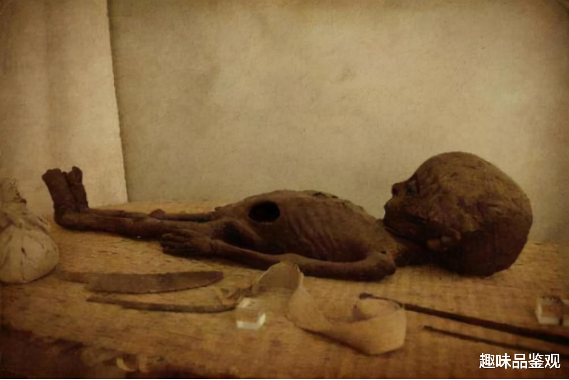 大熊猫 外星人阿廖申卡事件1：妇女收养一猫眼灰皮生物，死后却被人晒干