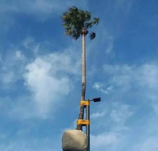 汽车|13个国外脑洞大开的奇葩设计，最后那辆汽车能起飞吗？