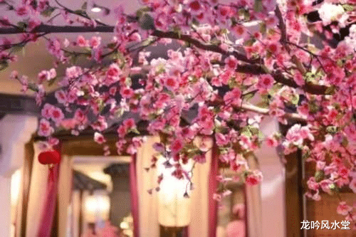 龙吟风水堂|从家居风水布局，来催旺桃花
