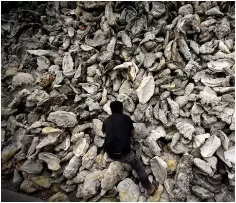 |那些文玩圈背后你不知道的事情