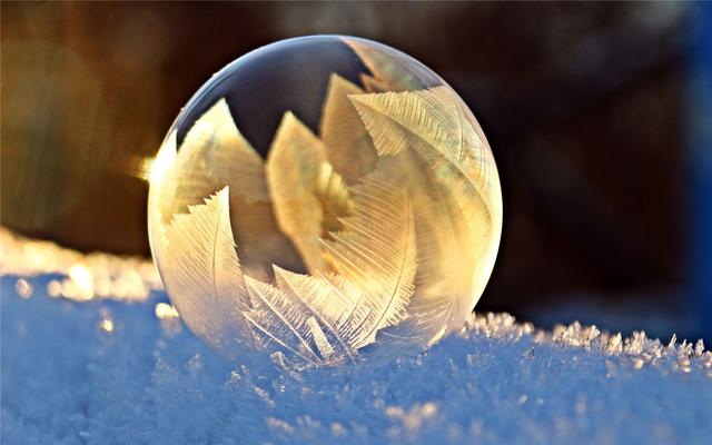 科学家 第一个被冰冻的人贝德福德,原定在50年后解封,现在怎么样了?