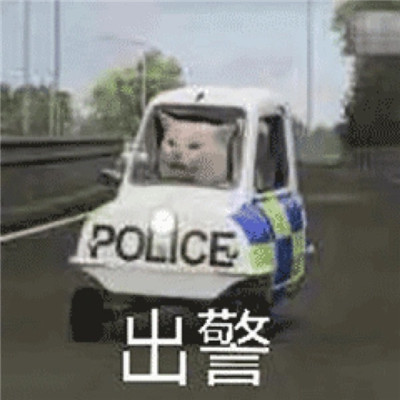 桉月|表情包： 全网无前任有也不承认