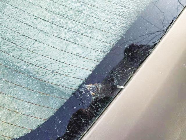 大连新闻网 大连破获首例高空抛物案