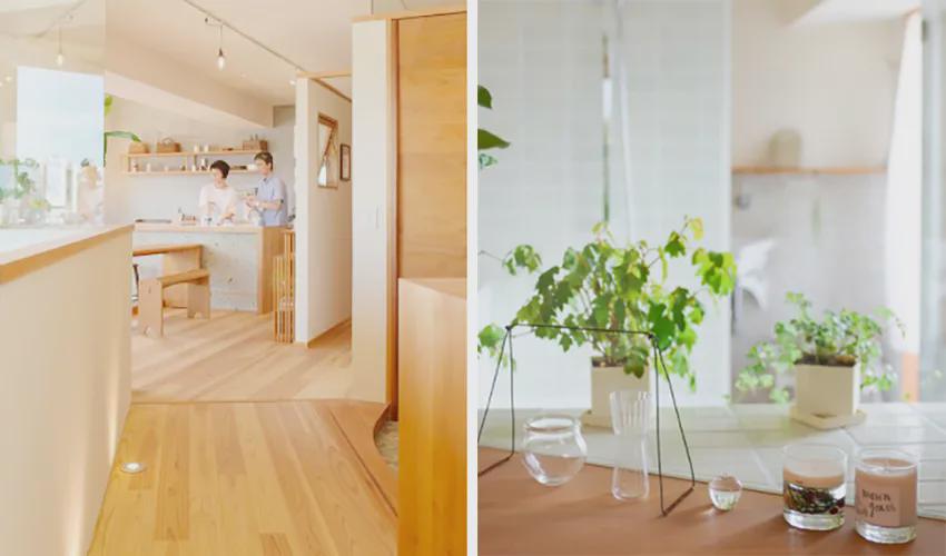 66㎡小家，布置得井井有条！两人一猫三餐四季的生活，是我喜欢的