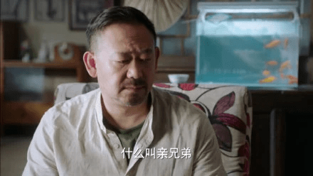 娱乐圈|娱乐圈中的5对“亲兄弟”，姜文姜武发展最好，你分得清他们吗？