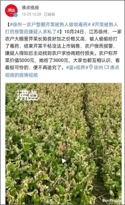 一对福建夫妇被灭口的惨案:为什么不要向外界展示你的“好”?