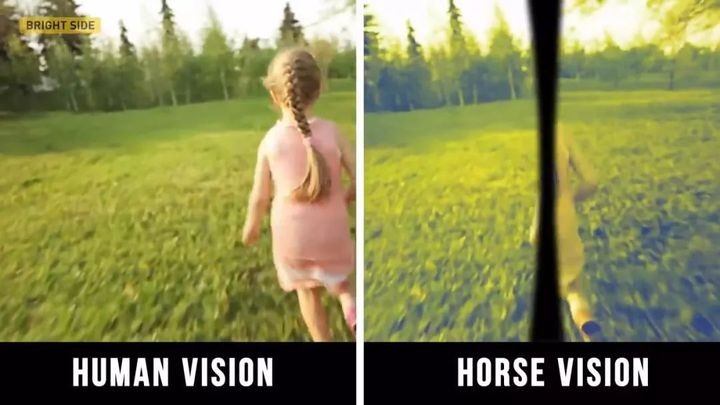 自然哲学:我们所看到的“真相”,其实都是“假象”