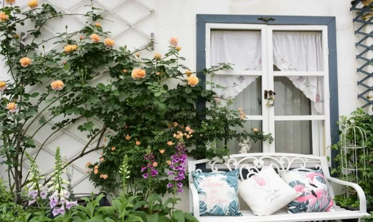 4年前,毫不犹豫买了这个带60㎡露台的房子,开始DIY改造小花园