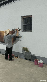 小宁说育儿|“这些真实的电影镜头，有多少人误认为是特效？”