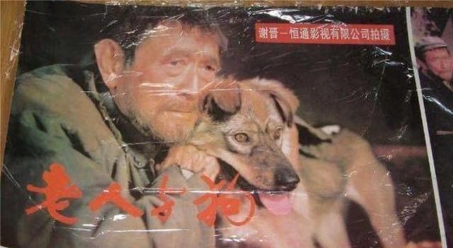 苍井空|电影《老人与狗》：主演杀人，恶狗吃人肉，拍完后人狗皆被枪毙