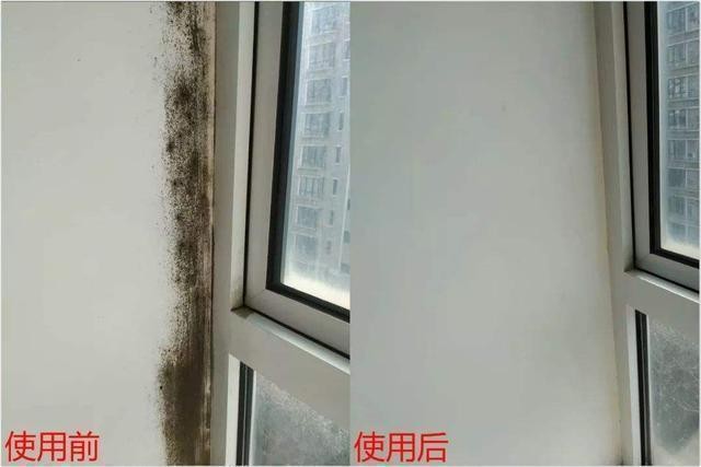 |这4件家居用品，看似好用，实际是鸡肋，早已被时代淘汰了