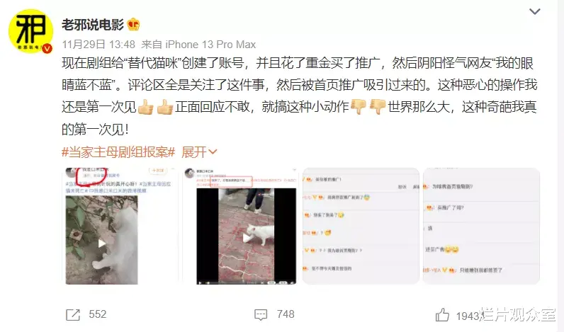 王岳伦|《当家主母》剧组的那只白猫，确实死了