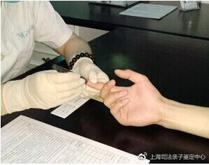 鉴定那点事 上海亲子鉴定的数量明显增多 落户口的占多数