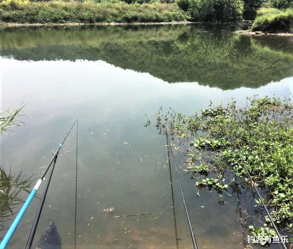 太原|野钓钓鱼,认清几种中鱼率超高的漂相动作,避免错失垂钓先机