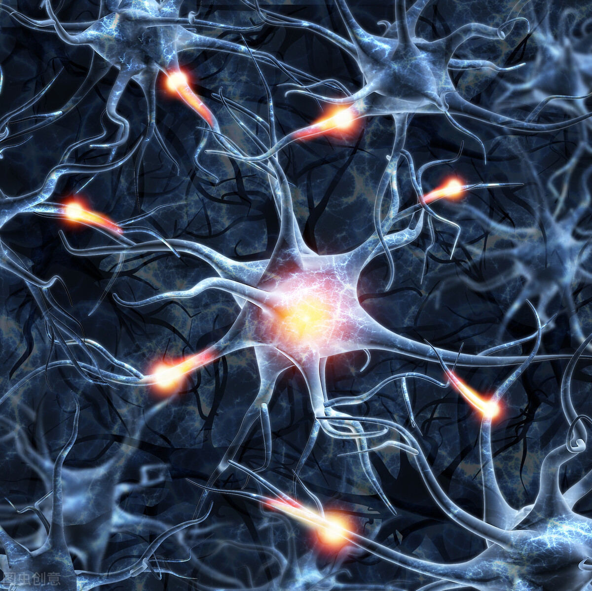  章鱼有9个大脑，为何没有进化出文明，难道进化过程出了问题？