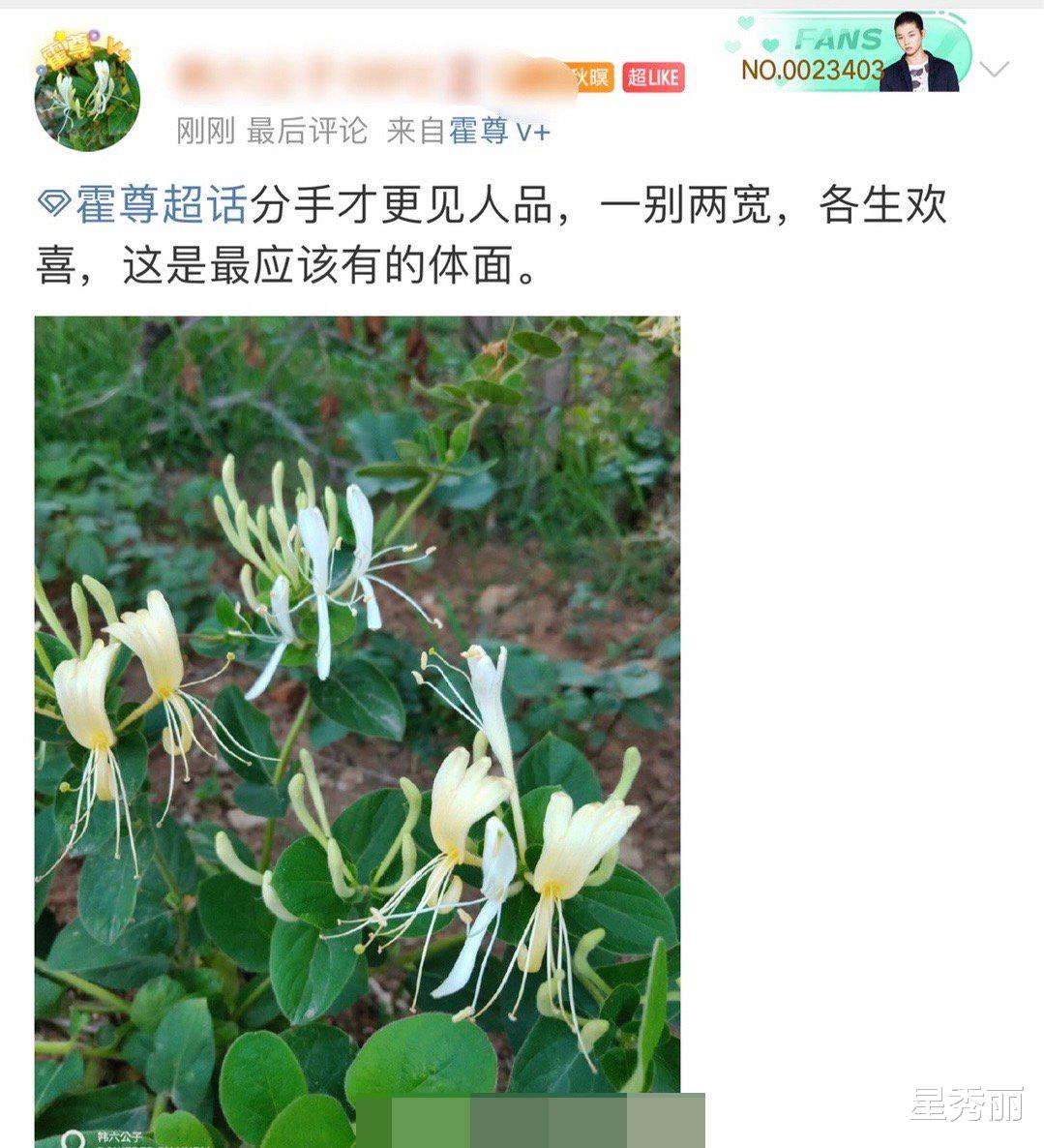 霍尊|霍尊粉丝怎么都这么理智？塌房就脱粉一点也不拖泥带水