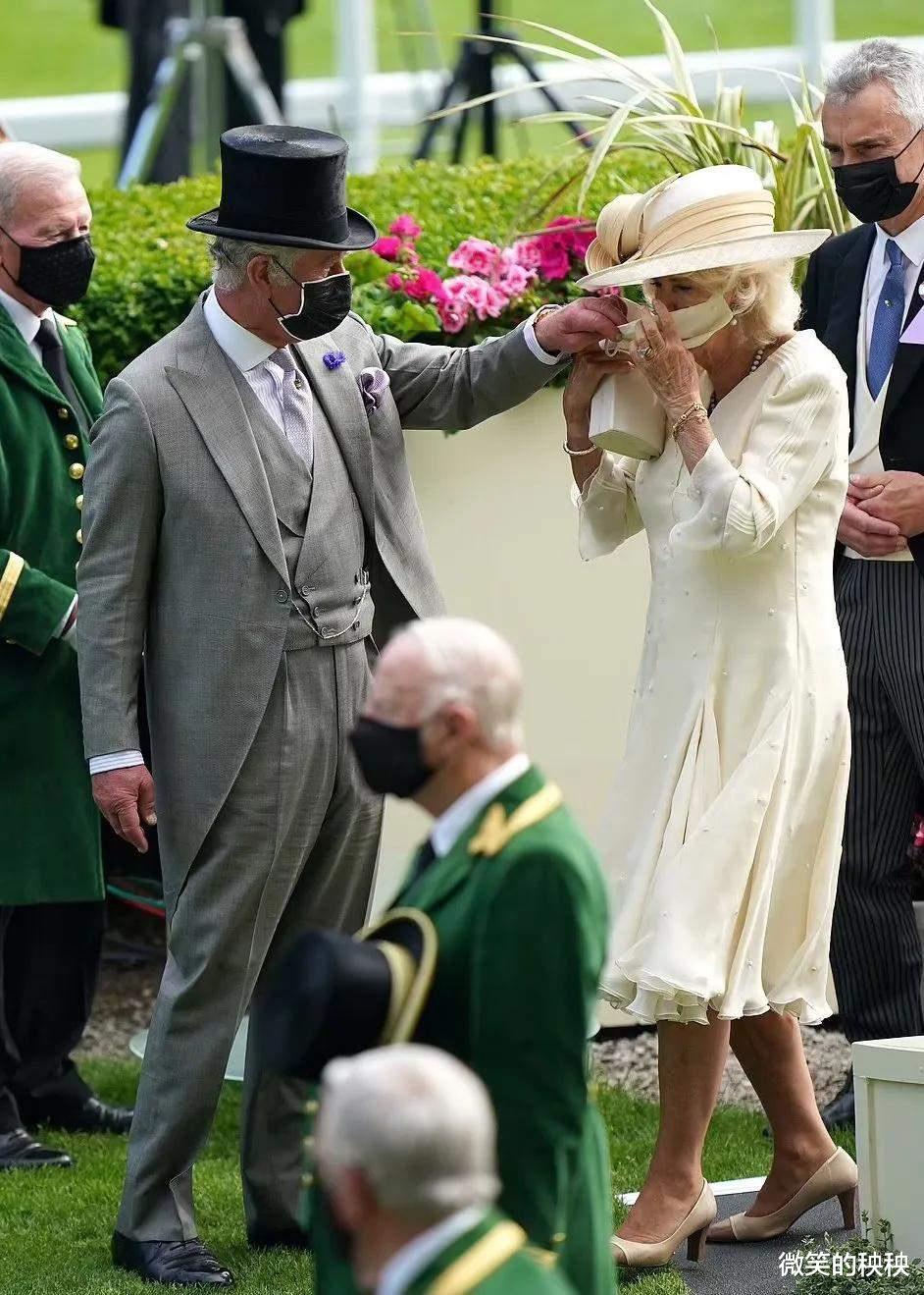 微笑的秧秧|凯特王妃低调乖巧，卡米拉高调“恩爱秀”，小白裙的魅力无人可挡