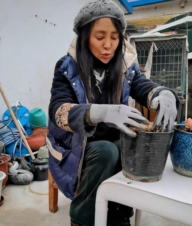 阿凡达|58岁李勤勤现状落魄，破旧农家院摆满废品，三段婚姻均嫁外国人