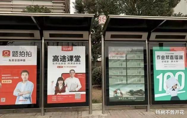 陈晨|“告别大厂三个月，我依然没找到工作”