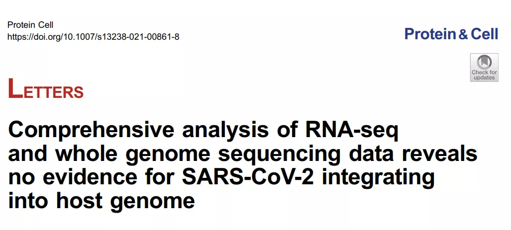 核糖核酸 中国科学家联合报道：新冠病毒RNA不具备整合进宿主基因组的能力
