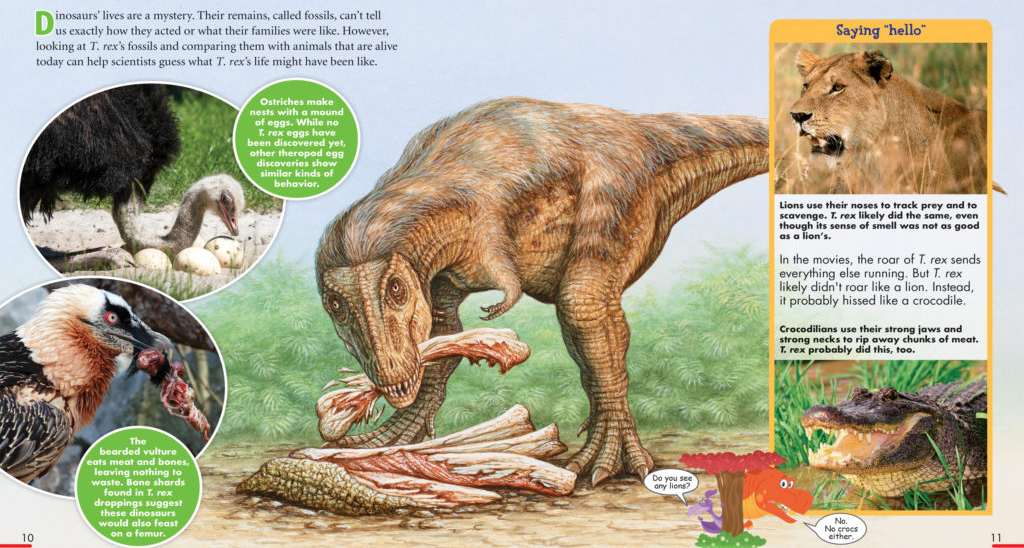 久见菌菌|上古动物味道如何?为满足好奇,美国科学家吃了36000年前的野牛