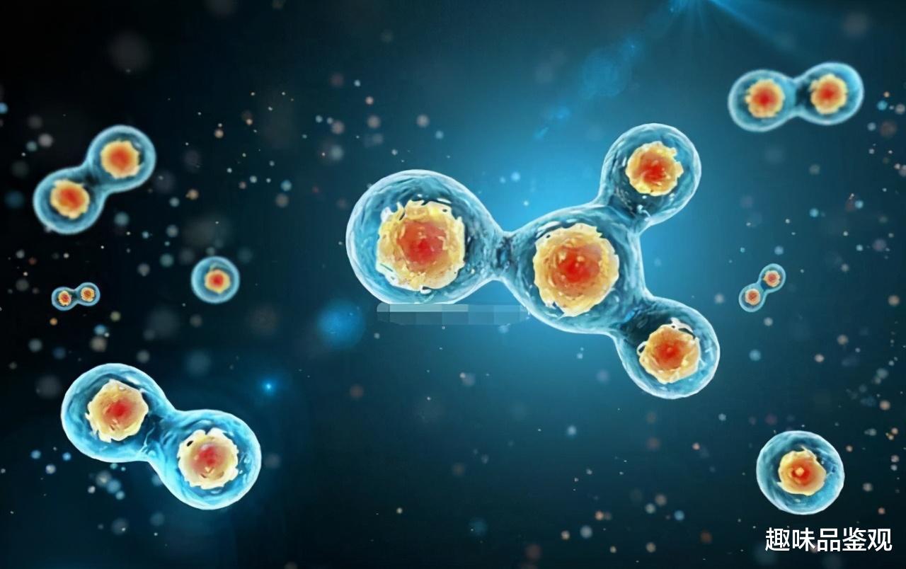 格雷 如果细胞能不断修复，人类寿命会增加到1000岁？该技术能实现吗？