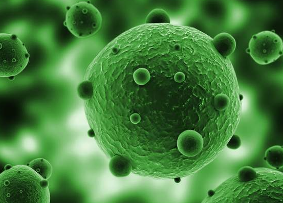 碱基 新研究揭示某些病毒DNA内发现的第五种碱基！