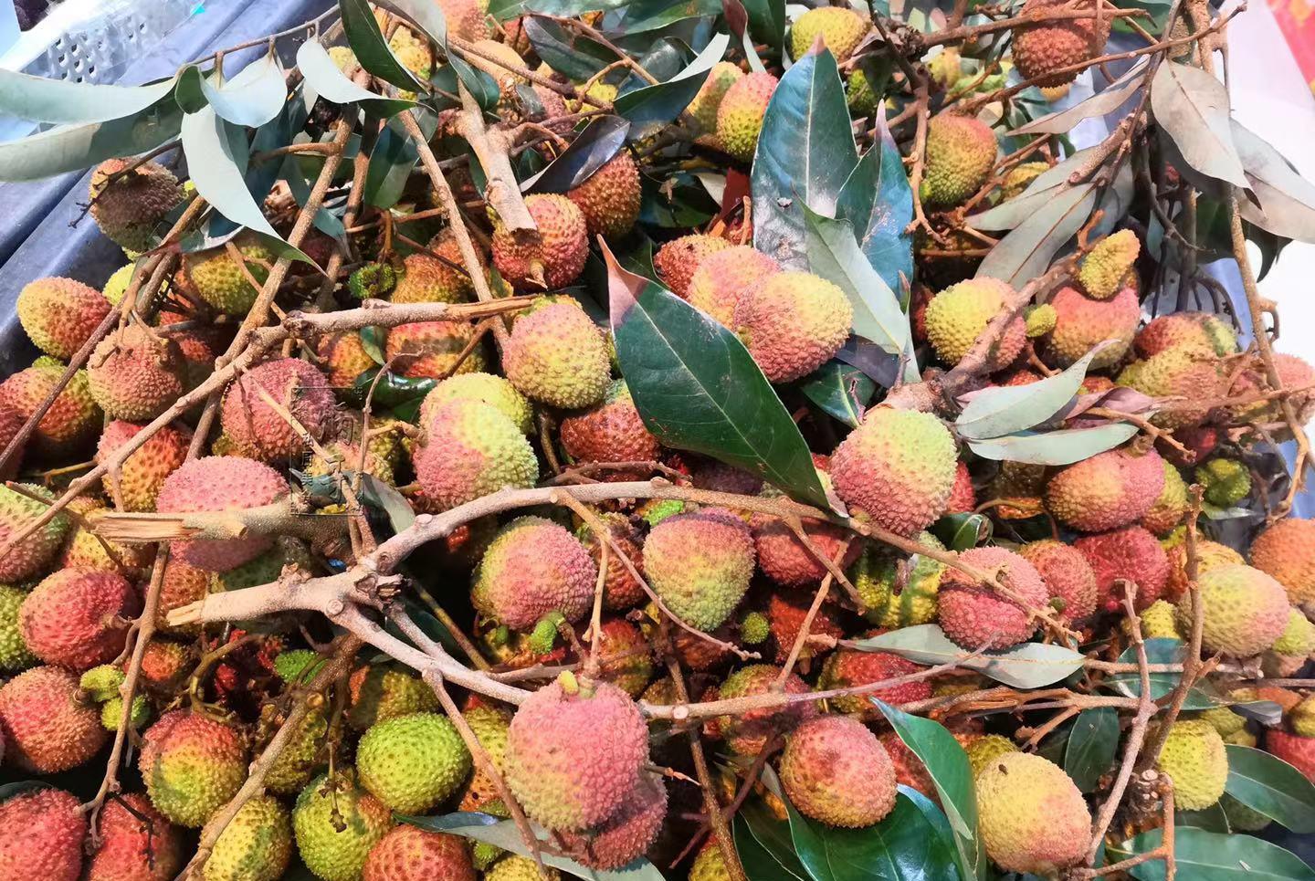 炳哥的私厨美食 它人称“妃子笑”，福州网友推荐的吃法，晒朋友圈被吐槽口味重！