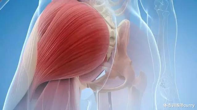 体态训练师curry|臀部两侧凹陷不饱满，用这3个动作进行孤立训练，还你蜜桃臀！