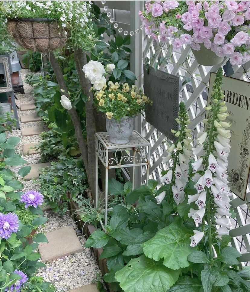 8㎡的狭长小道,也能建漂亮花园,对于阳台党来说非常值得借鉴