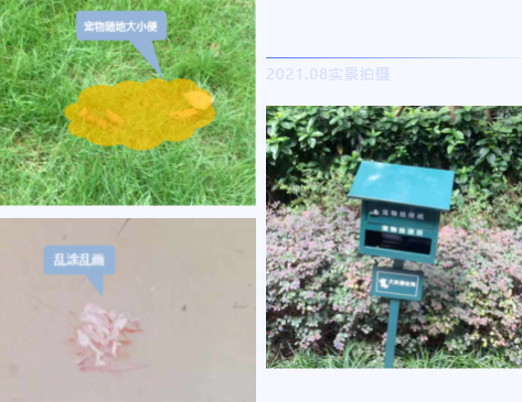 乐山|突击：我们暗中实查了时代青江小区的物业工作！