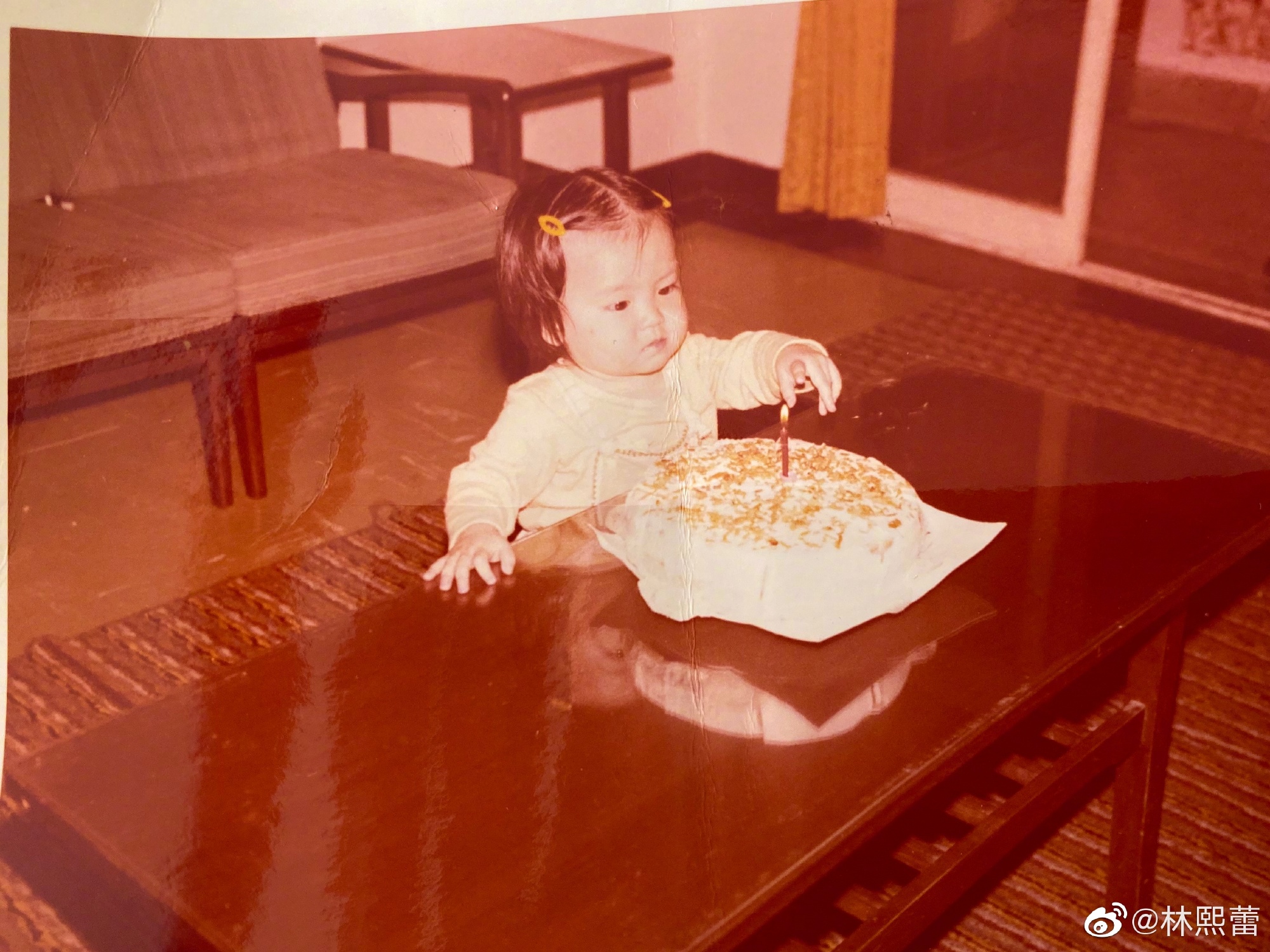 林熙蕾|“性感女神”林熙蕾的成名之路，突然消失的她，如今怎么样了？