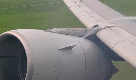 科学家 大雁编队飞行与鸭子编队游泳原理不同，科学家给出了新的解释