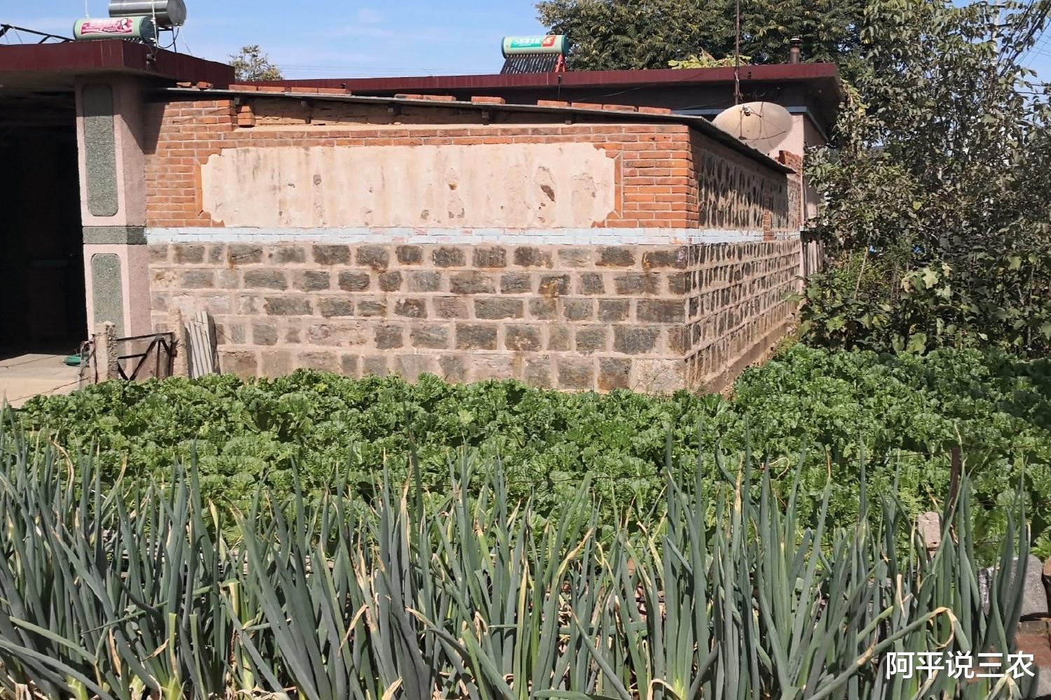 阿平说三农 “合村并镇”的背后会涉及到以下两点问题，村民需要知晓！