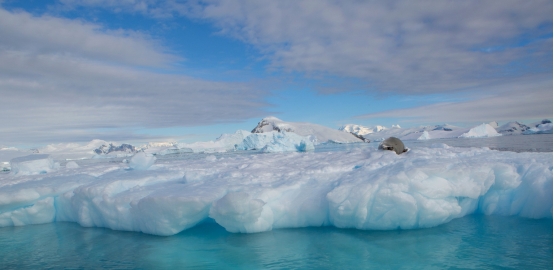 冰川期 地球气候越来越诡异！非洲热带国家狂下暴雪，冰河世纪要来了？