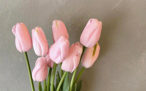 卜师傅八字命理|命理正缘，与晚婚命，的几点看法