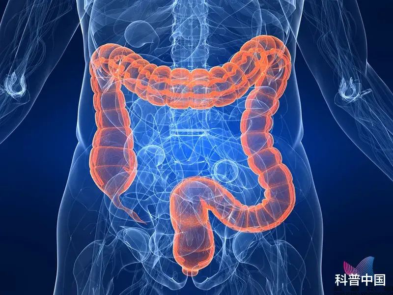 益生菌|益生菌能防治新冠病毒?知名品牌被罚45万!这些人食用益生菌要慎重…