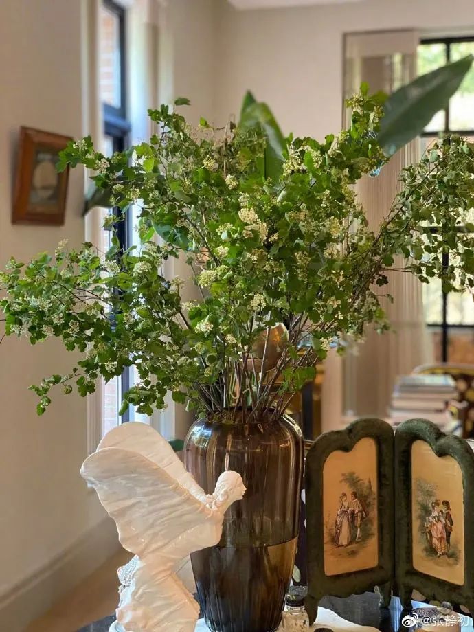 关晓彤|41岁张静初，花5年时间打造单身别墅：家里堆满旧物，却美得不像话！
