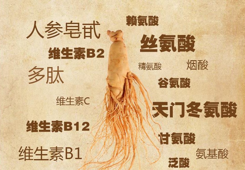 运动|人参、元气之间的“恩怨”